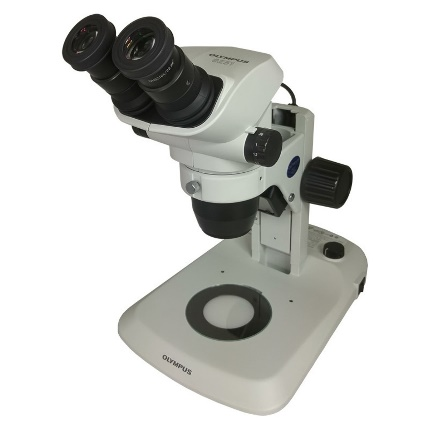 Metallurgical / Stereo Zoom Microscope services, Pune, India