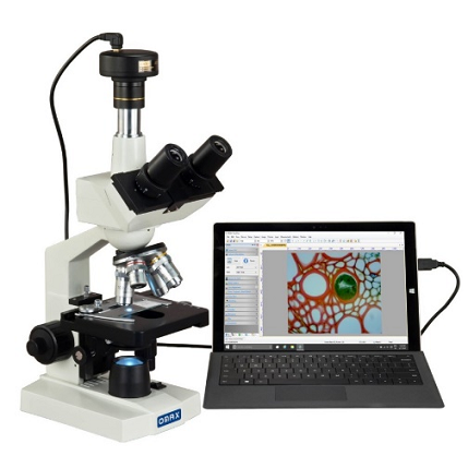 Metallurgical / Stereo Zoom Microscope services, Pune, India